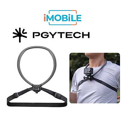 Accessoryholder1991 Accessoryholder1991